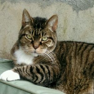 Meet your Posher, Sharon